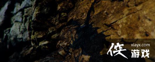 ����Σ��4���ư汦�ػ�ͭ����������