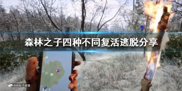 ��ɭ��֮�ӡ����ֲ�ͬ�������ѷ���  ����������ʲô����