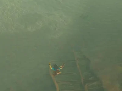 �������ﴫ˵��Ұ֮Ϣ���������ʵ����λ�����ģ��������ʵ����λ�÷���