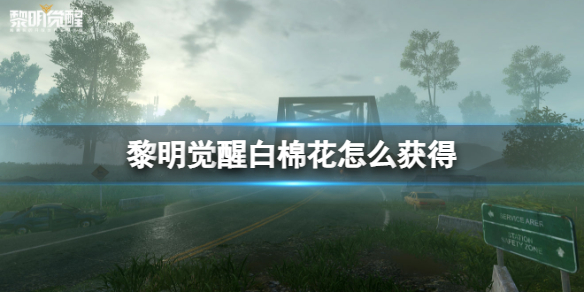 �������Ѱ��޻���ô���