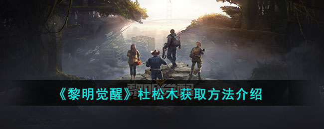 ���������ѡ�����ľ��ȡ��������