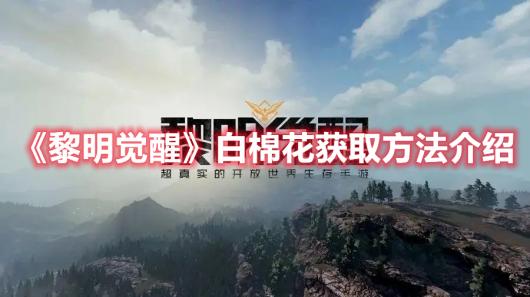 ���������ѡ����޻���ȡ��������