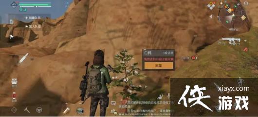ѡ޻ɼ
