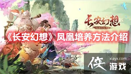 ���������롷���������������