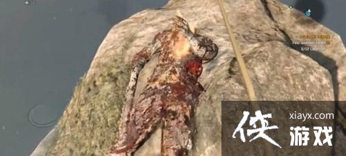 �����ŵĹ�â������������֮���л�ý�ѧ  ��֮������ô��ã�