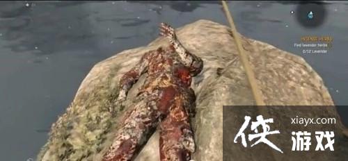 �����ŵĹ�â������������֮���л�ý�ѧ  ��֮������ô��ã�