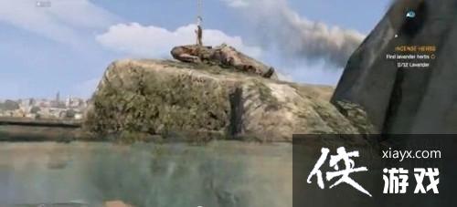 �����ŵĹ�â������������֮���л�ý�ѧ  ��֮������ô��ã�