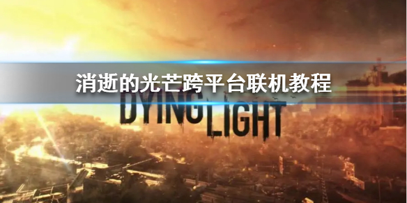 �����ŵĹ�â����ƽ̨�����̳� ��ƽ̨��ô������