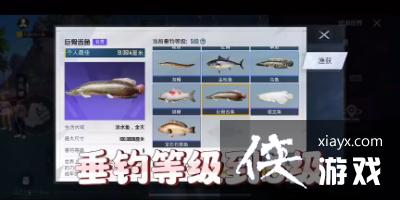 ����ƽ��Ӣ����������޹����㴹��Ҫ��һ��