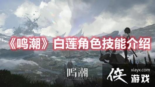 ��������������ɫ���ܽ���