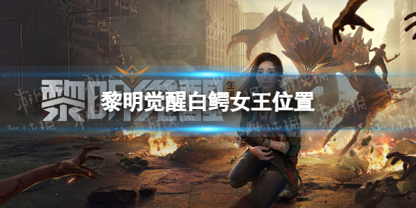 �������Ѱ���Ů��λ��