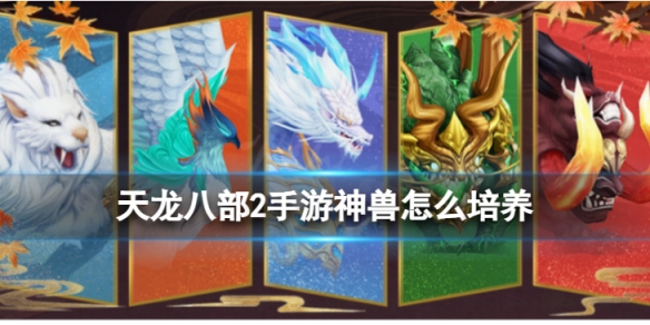 �����˲�2����������ô����