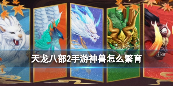 �����˲�2����������ô����