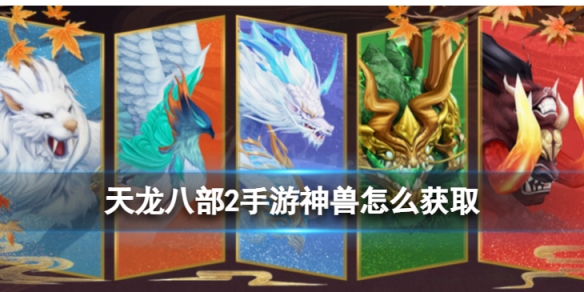 �����˲�2����������ô��ȡ