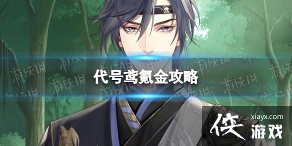 代号鸢氪金攻略 代号鸢氪金攻略