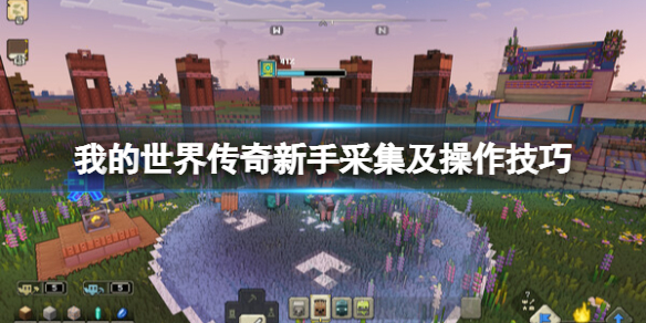 ���ҵ����紫�桷��ô�棿���ֲɼ�����������