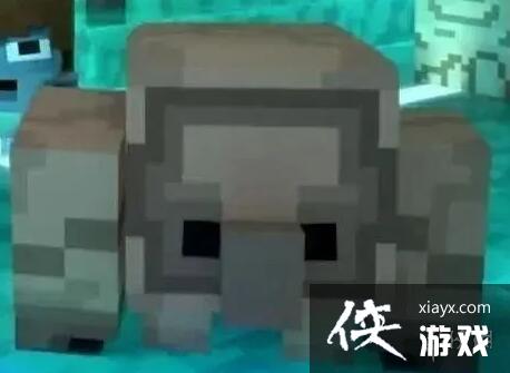 ���ҵ����紫�桷������ʲô�ã��������ý���