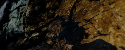 ����Σ��4���ư��ʮ������ܰʯ��������