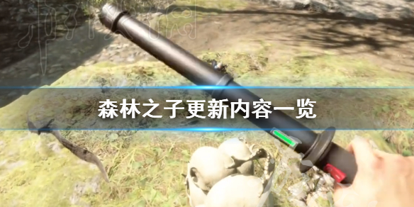 ��ɭ��֮�ӡ�������ʲô�� ɭ��֮�Ӹ�������һ��