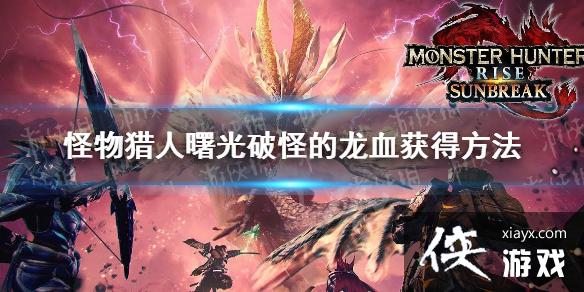 ������������������ƹֵ���Ѫ��÷��� �ƹֵ���Ѫ��ô��ã�