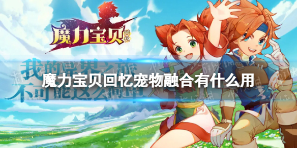 ħ��������������ں���ʲô��