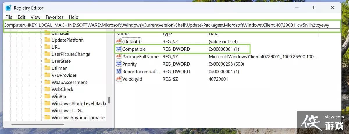 Win11 预览版25300怎么开启文件资源管理器图库隐藏功能? Win11 预览版25300怎么开启文件资源管理器图库隐藏功能?