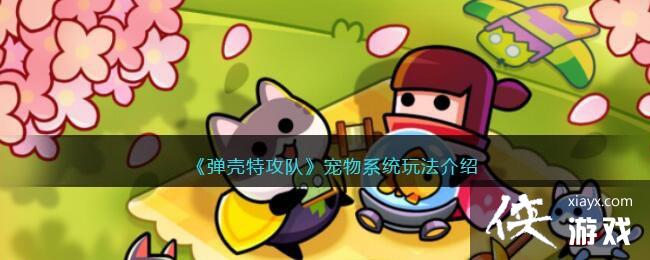 �������ع��ӡ�����ϵͳ�淨����