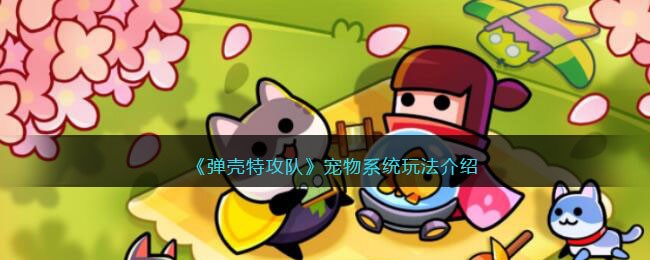 �������ع��ӡ�����ϵͳ�淨����