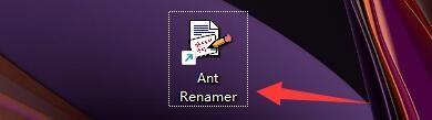 Ant Renamer���������ƬEXIF��Ϣ��ʽ