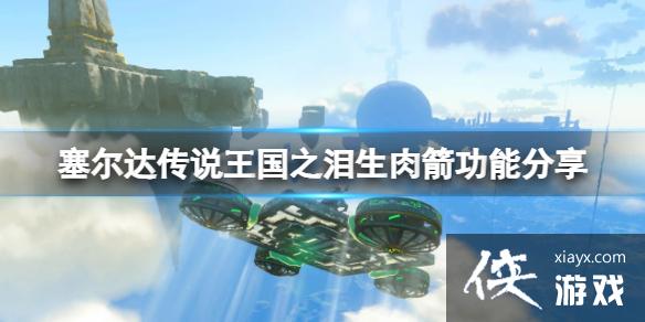 《塞尔达传说王国之泪》生肉与木箭组合有什么用?生肉木箭功能分享 《塞尔达传说王国之泪》生肉与木箭组合有什么用?生肉木箭功能分享