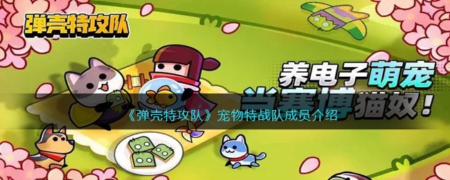 �������ع��ӡ�������ս�ӳ�Ա����