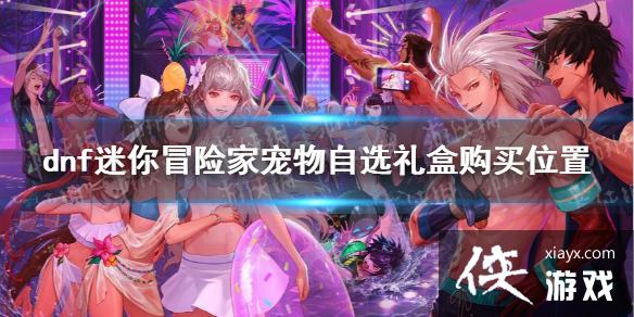 �����³�����ʿ������ð�ռҳ�����ѡ��ж���Ǯ�� ����ð�ռҳ�����ѡ��й���λ��