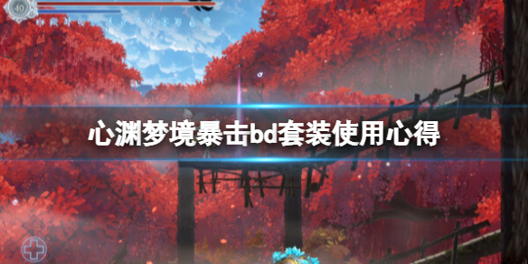 ����Ԩ�ξ�������bd��װʹ���ĵ� ����bdЧ����Σ�