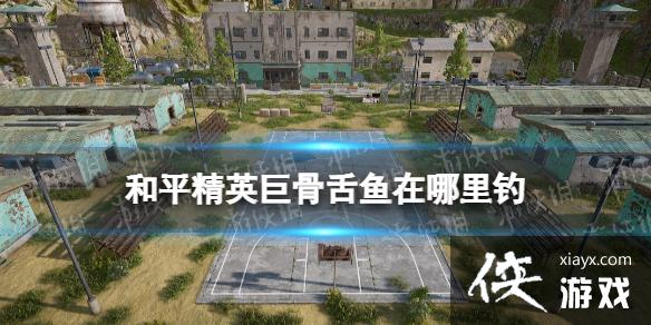 和平精英巨骨舌鱼在哪里钓 和平精英巨骨舌鱼在哪里钓