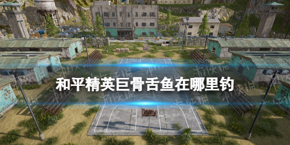 ��ƽ��Ӣ�޹������������