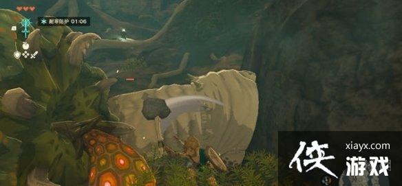 《塞尔达传说王国之泪》莱克莱克的胃石获得方法 《塞尔达传说王国之泪》莱克莱克的胃石获得方法