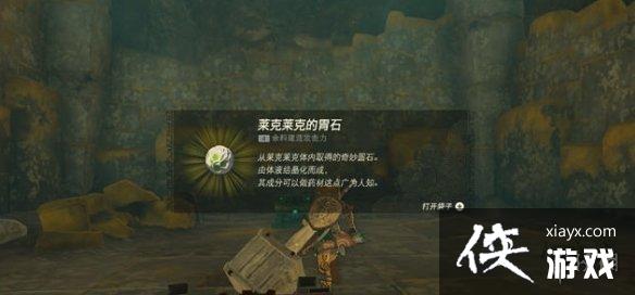 《塞尔达传说王国之泪》莱克莱克的胃石获得方法 《塞尔达传说王国之泪》莱克莱克的胃石获得方法