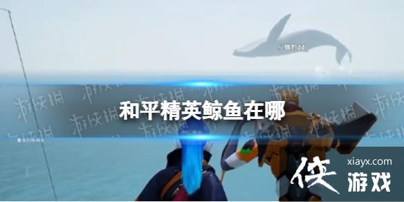 ��ƽ��Ӣ��������