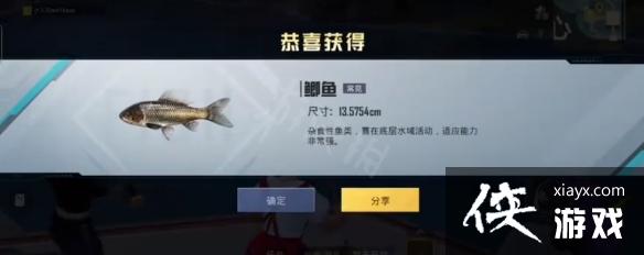 ��ƽ��Ӣ��ɫ�����ô���