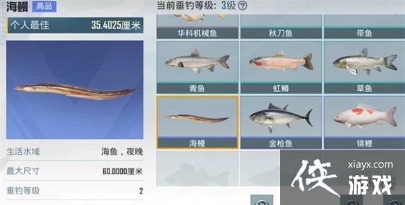 ��ƽ��Ӣ�����ȼ���ô����