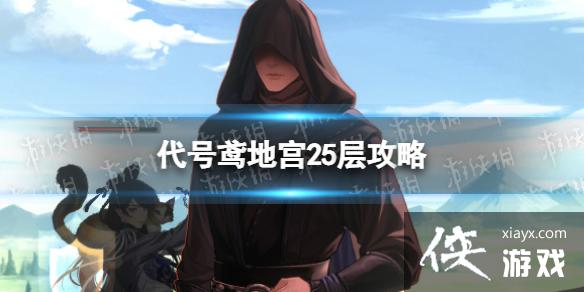 代号鸢地宫25层攻略 代号鸢地宫25层攻略