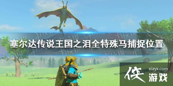 《塞尔达传说王国之泪》特殊马在哪? 全特殊马捕捉位置 《塞尔达传说王国之泪》特殊马在哪? 全特殊马捕捉位置