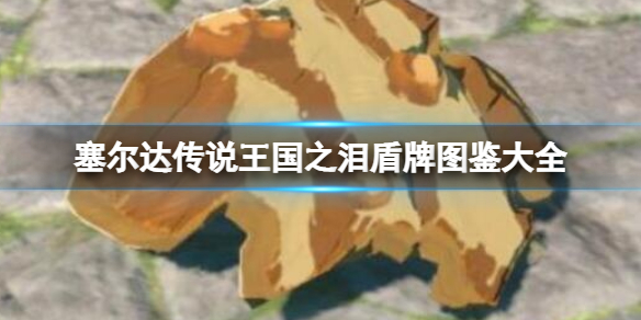 �������ﴫ˵����֮�ᡷ����ͼ����ȫ �������Ļ�ã�