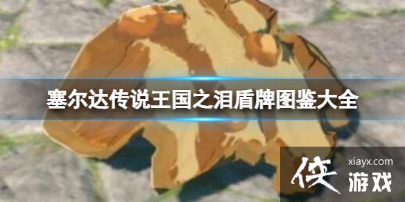 《塞尔达传说王国之泪》盾牌图鉴大全 盾牌在哪获得? 《塞尔达传说王国之泪》盾牌图鉴大全 盾牌在哪获得?