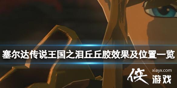 《塞尔达传说王国之泪》丘丘胶在哪获取?丘丘胶效果及位置一览 《塞尔达传说王国之泪》丘丘胶在哪获取?丘丘胶效果及位置一览