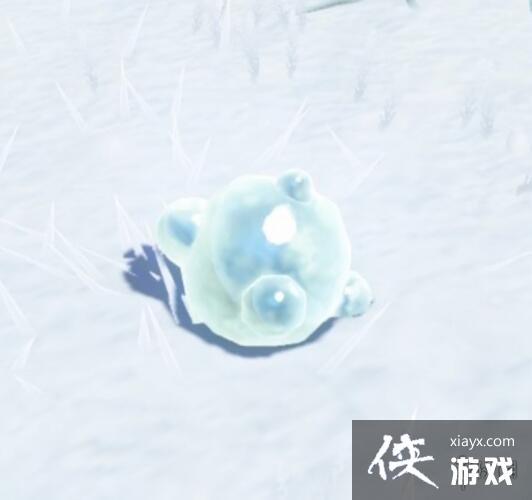 《塞尔达传说王国之泪》丘丘胶在哪获取?丘丘胶效果及位置一览 《塞尔达传说王国之泪》丘丘胶在哪获取?丘丘胶效果及位置一览