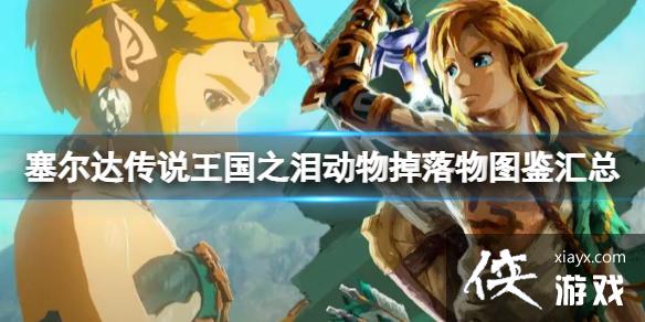 《塞尔达传说王国之泪》动物掉落物图鉴汇总动物有哪些? 《塞尔达传说王国之泪》动物掉落物图鉴汇总动物有哪些?