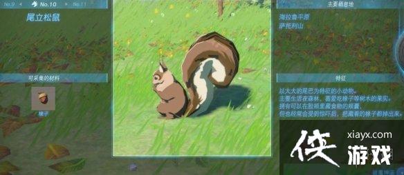 《塞尔达传说王国之泪》动物掉落物图鉴汇总动物有哪些? 《塞尔达传说王国之泪》动物掉落物图鉴汇总动物有哪些?