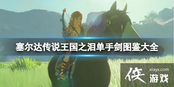 《塞尔达传说王国之泪》单手剑有哪些?单手剑图鉴大全 《塞尔达传说王国之泪》单手剑有哪些?单手剑图鉴大全