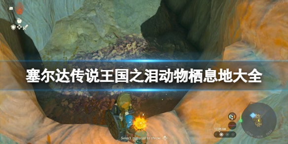 �������ﴫ˵����֮�ᡷ������Ϣ�ش�ȫ ȫ����ͼ��һ��